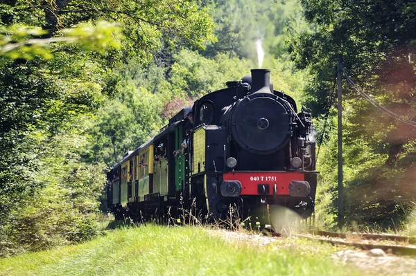 De toeristische trein van anduze — Stockfoto