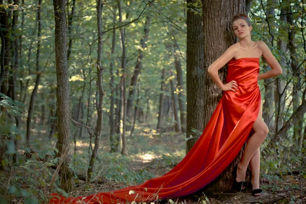 Jovem mulher bonita em vestido vermelho em madeiras verdes — Fotografia de Stock