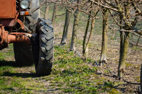 Tractor trabajando en el jardín de manzanas de primavera — Foto de Stock