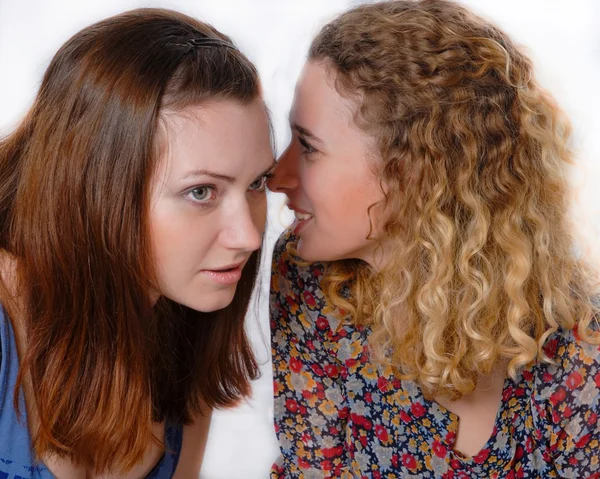 Dos hermosas mujeres jóvenes charlando sicrets sobre fondo blanco — Foto de Stock