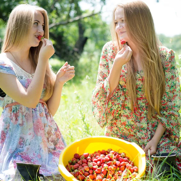 Strawberry pickers — Stock Photo, Image