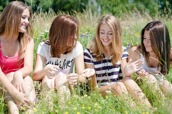 Four happy teen girls sitting on green lawn and sharing secrets Royalty Free Stock Photos