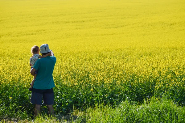 Pai e filho olhando no campo de colza no dia de verão — Fotografia de Stock