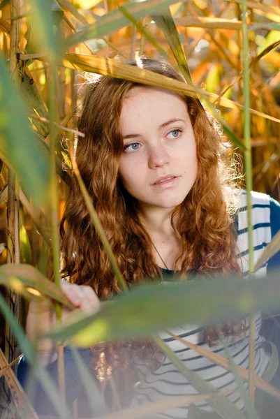 Young beautiful woman looking out of reed — Stock Photo, Image