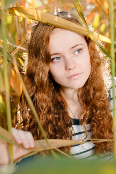 Girl ooking out of reed — Stock Photo, Image