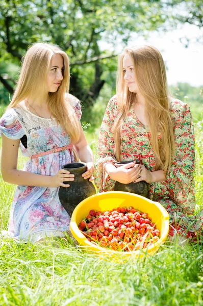 Recolectores de fresas —  Fotos de Stock