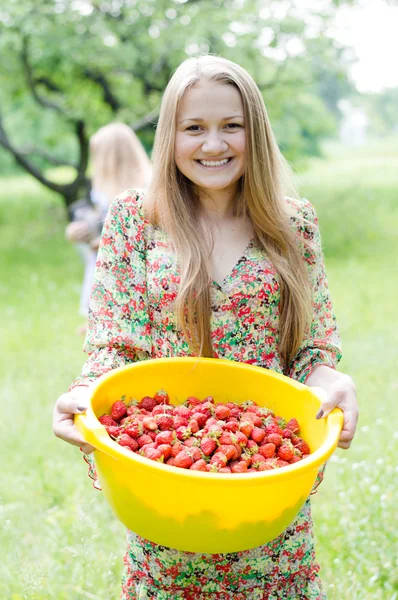 Strawberry picker — Stockfoto