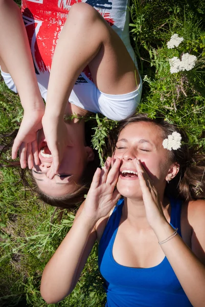 Девочки лежат на сене и кричат: — стоковое фото