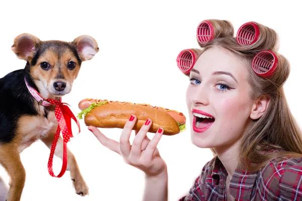 Tandis que l'adorable chien mignon regardant la caméra pinup belle jeune femme blonde drôle avec des yeux bleus & bigoudis s'amuser à manger un hot dog & sourire heureux sur un fond blanc gros plan portrait image — Photo