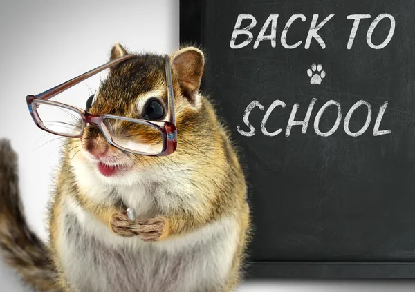 Back to school concept — Stock Photo, Image