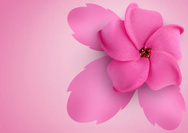 Blomma på rosa bakgrund — Stockfoto