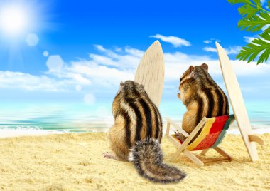 Chipmunks surfers on the beach with surf boards clipart