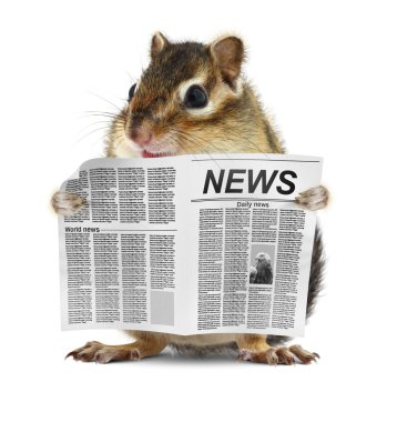 Funny chipmunk read newspaper clipart