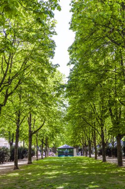 Çeşmeli Adolfsallee 'ye park et