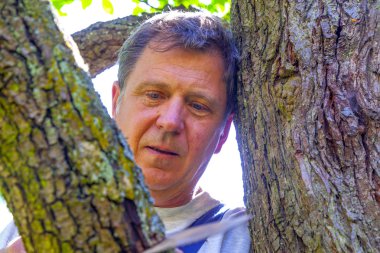 Adam testereyle ağaç kesiyor.