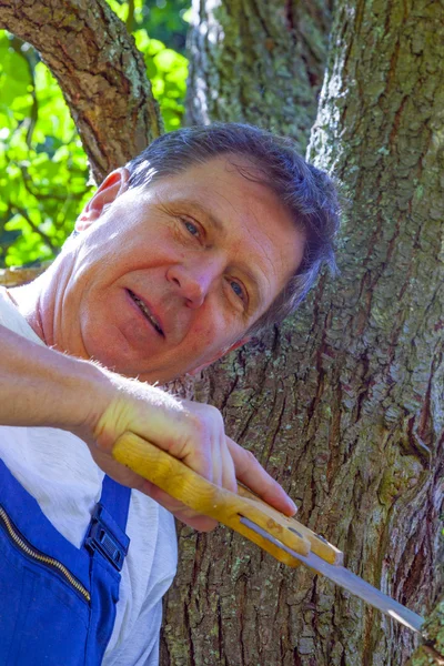 Człowiek ścinający drzewo piłą — Zdjęcie stockowe