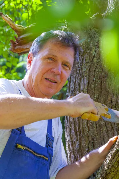 Man cutting a tree with a saw — Stock Photo, Image