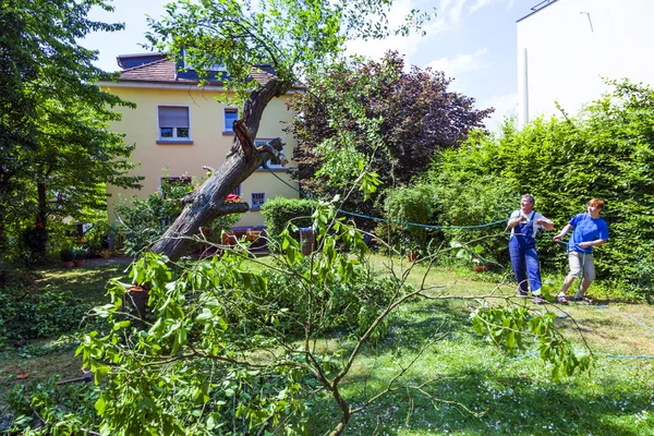 Pai e sol cortando uma árvore no jardim — Fotografia de Stock