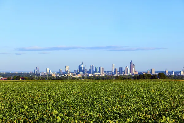 Skyline de Frankfurt —  Fotos de Stock