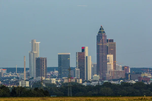 Skyline av Frankfurt med fält i förgrunden — Stockfoto