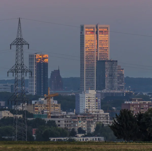 Skyline av Frankfurt med fält i förgrunden — Stockfoto