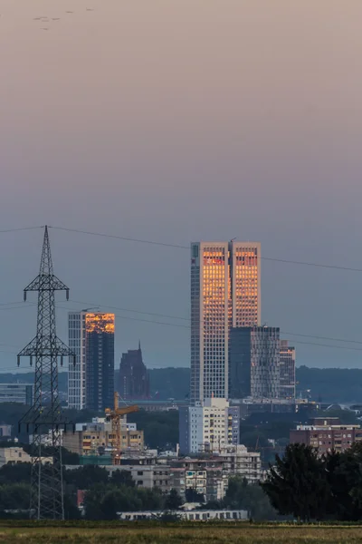 Frankfurt 'un ufuk çizgisi ve ön planda tarlalar — Stok fotoğraf