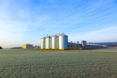 silo ile hasat alanında