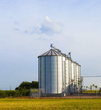 silver silos in corn field