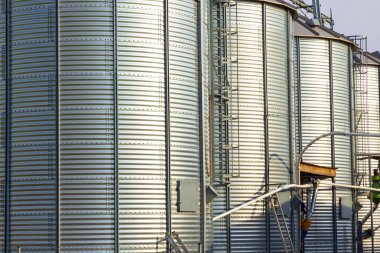 silver silos in corn field