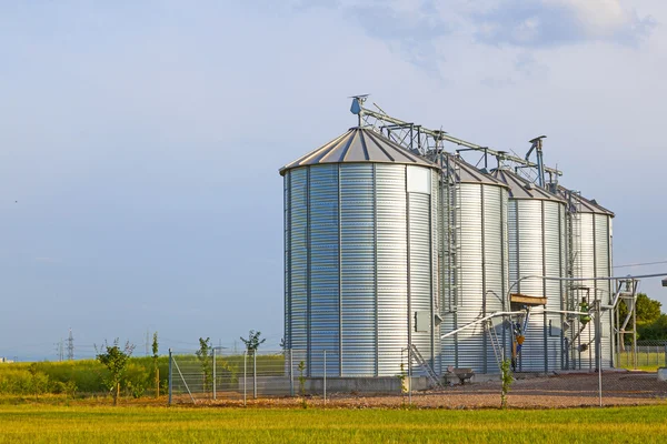 Silver silos in corn field — Stok fotoğraf