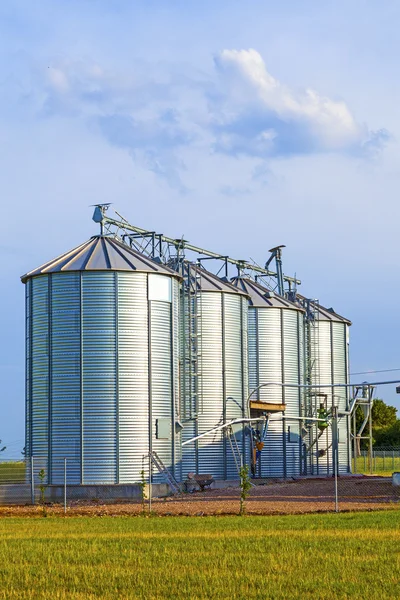 Zilveren silo's in maïsveld — Stockfoto