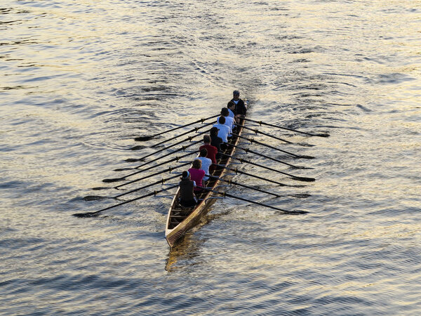 rowers training on the river