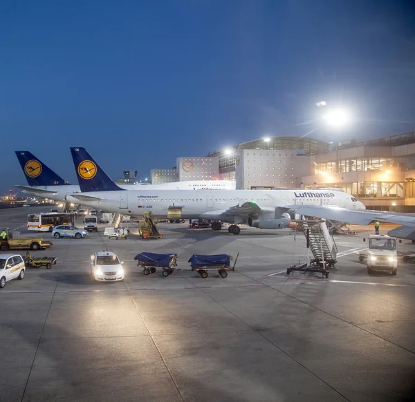 Lufthansa Flight at the gate for morning flight in Frankfurt — Stock Photo, Image