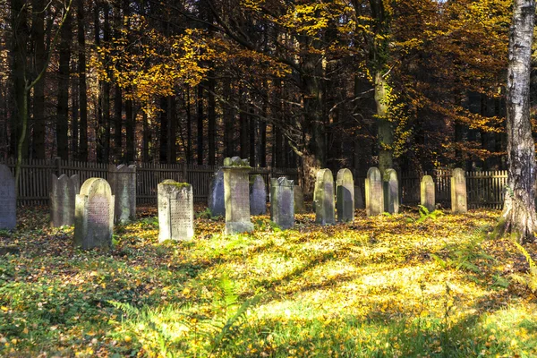 Vieux cimetière juif dans la forêt de chênes — Photo