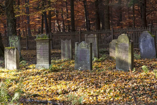 Vecchio cimitero ebraico nella foresta di querce — Foto Stock