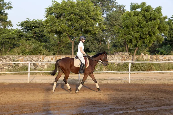 Kvinna rider sin häst i parcour — Stockfoto