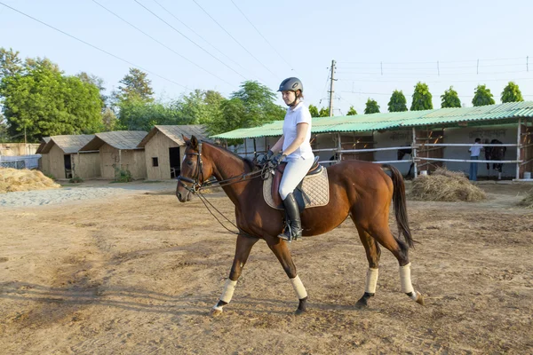 Mulher montando seu cavalo no parcour — Fotografia de Stock