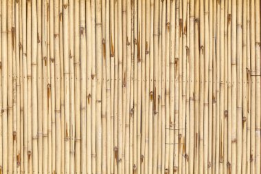 Bambu Arkaplanı
