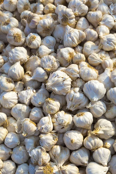 Close up of garlic on market stand — Stock Photo, Image