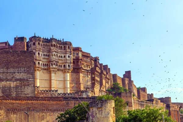 Forte di Meherangarh - jodhpur - India — Foto Stock