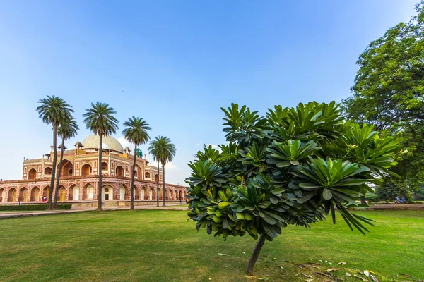 Humayuns mezar. Delhi, Hindistan — Stok fotoğraf