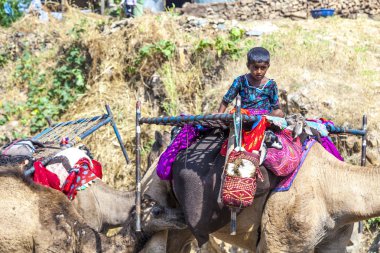 geleneksel renkli kırmızı Türban takan rajasthani aşiret erkek