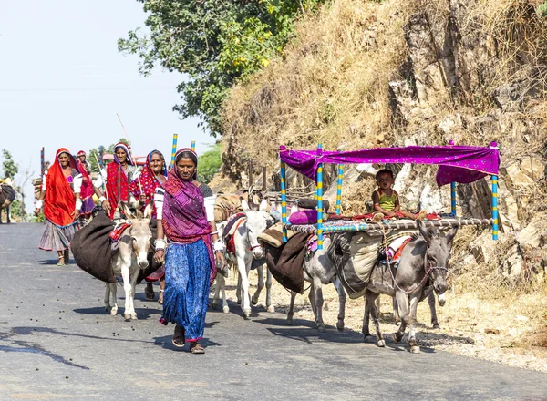 Een rajasthani tribal familie wordt verplaatst naar de volgende levende grond — Stockfoto