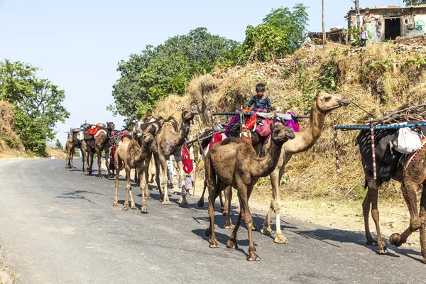 Een rajasthani tribal man dragen van traditionele kleurrijke rode tulband — Stockfoto