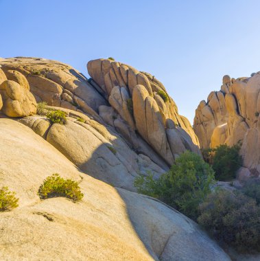 joshua tree national Park Manzaralı jumbo kaya