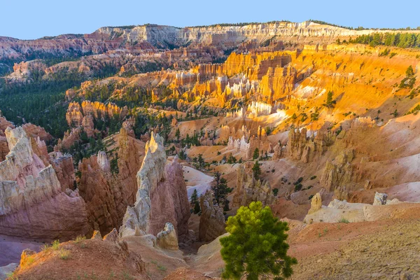 Hermoso paisaje en Bryce Canyon con magnífica forma de piedra —  Fotos de Stock