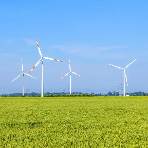 Wind energy wowers standing in the field in spring — Stock Photo, Image
