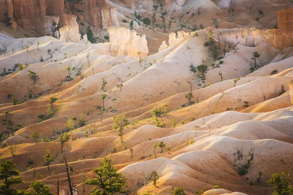 Bela paisagem em Bryce Canyon com magnífica formação de pedra como Anfiteatro, templos, figuras em luz da manhã — Fotografia de Stock