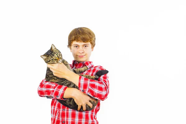 Fiú, a macska, a kar — Stock Fotó