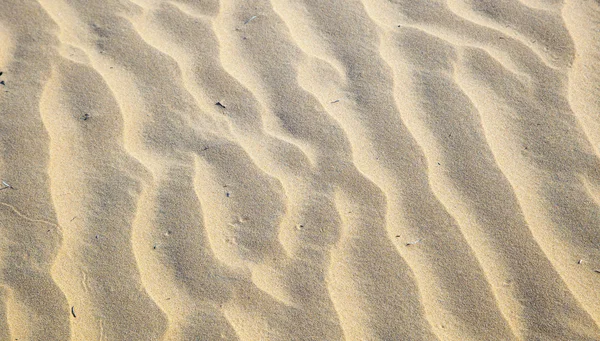 Pattern of sand dunes at the beach — Stock Photo, Image